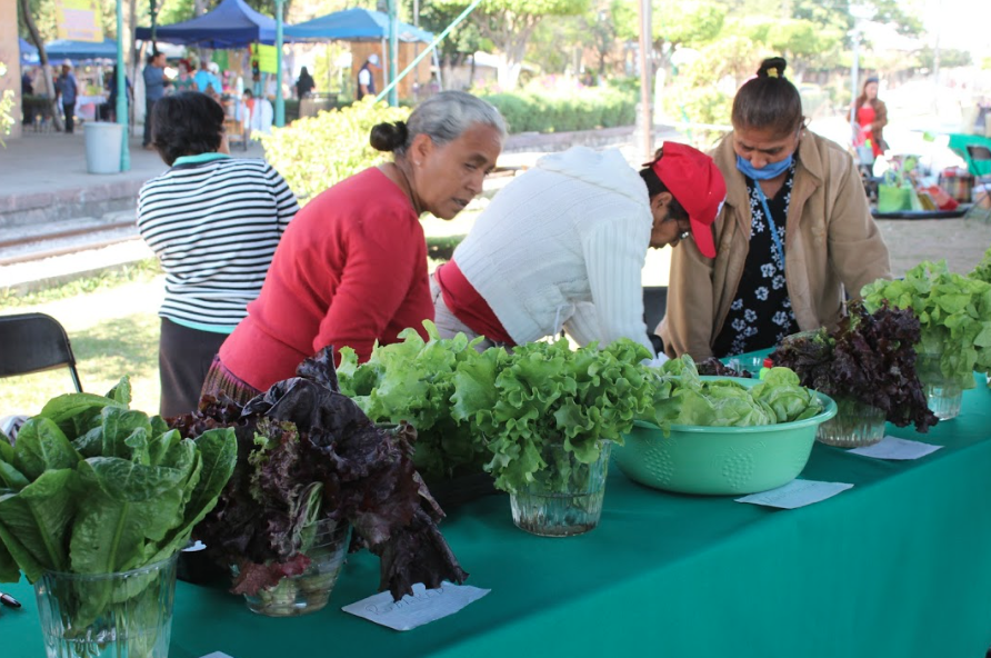 Celebra Mercado Verde su primer aniversario en Cuautla