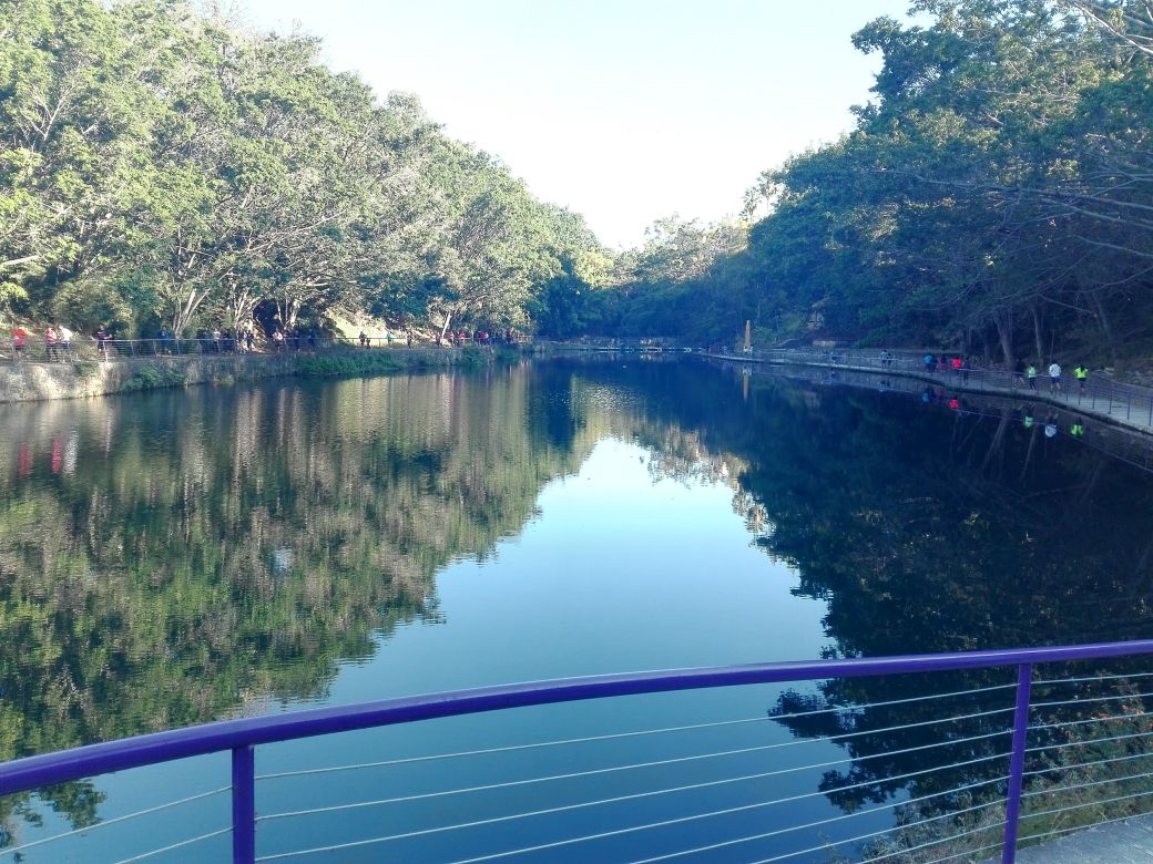 Urge Beto Mojica sancionar a responsables por la contaminación del agua de la Barranca de Chapultepec