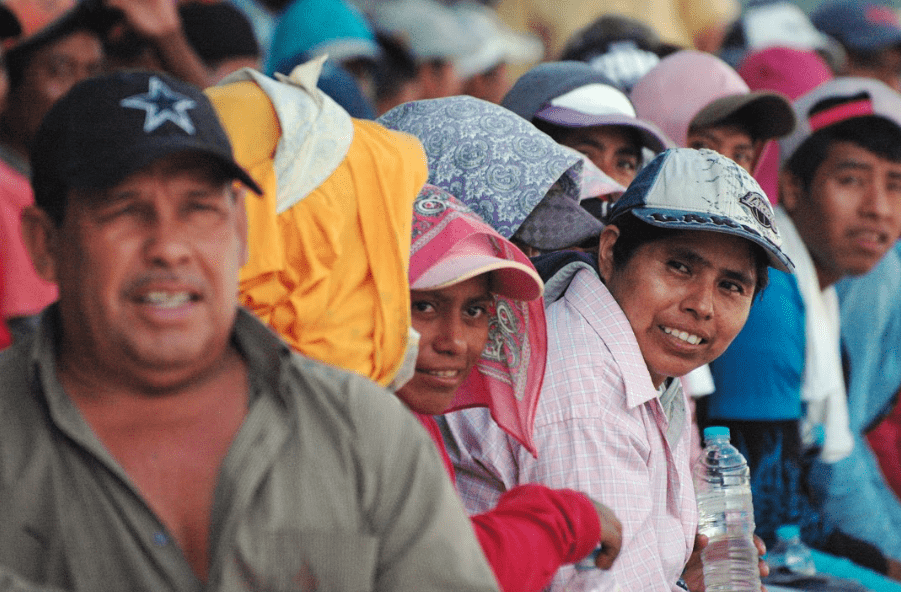 Retomará Morelos atención a jornaleros agrícolas