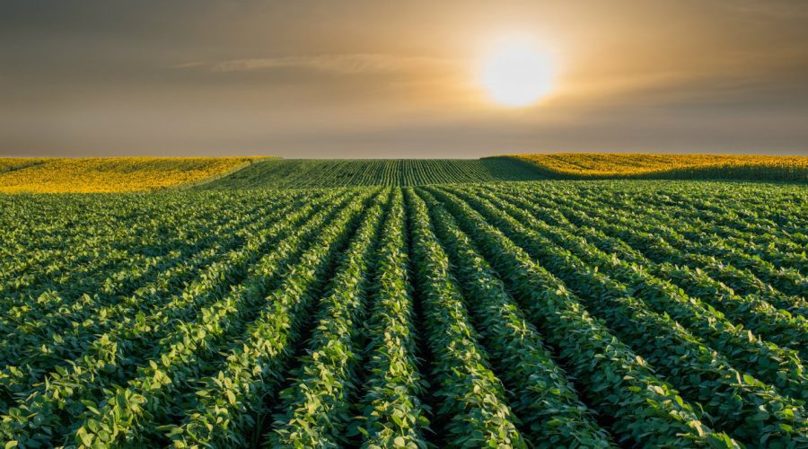 Abre SEDAGRO ventanillas para proyectos del campo