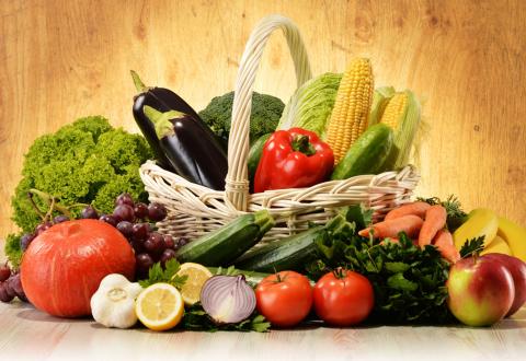 Habrá Mercado Verde este fin de semana en Cuernavaca