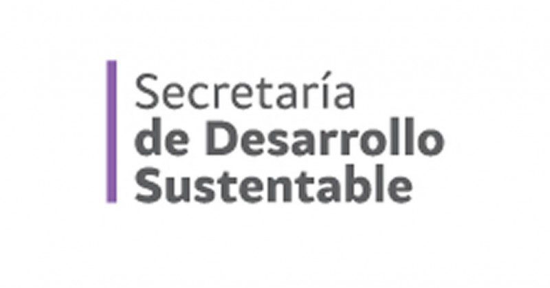 Información importante sobre la verificación en Morelos
