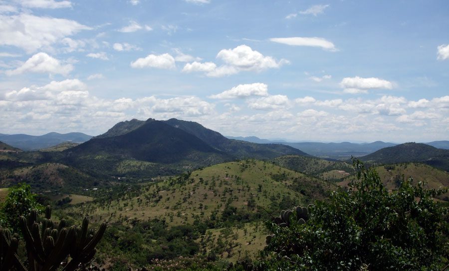 Ratifica UNESCO al CIByC como coadministrador de la Reserva de la Biósfera Sierra de Huautla