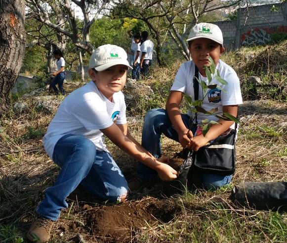 Reforestarán el cerro Tenango de Jonacatepec