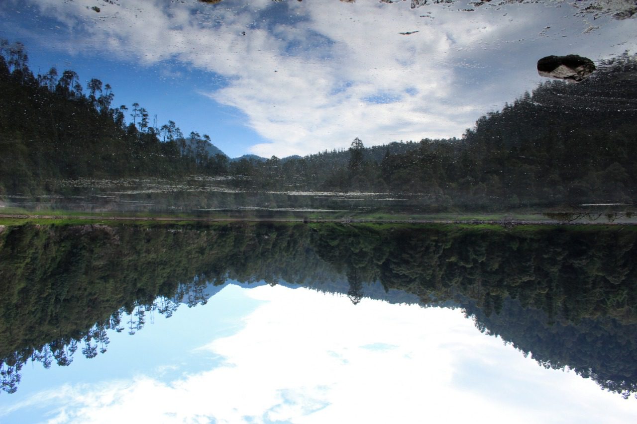 Gobierno estatal recibirá propuestas para la protección del medio ambiente