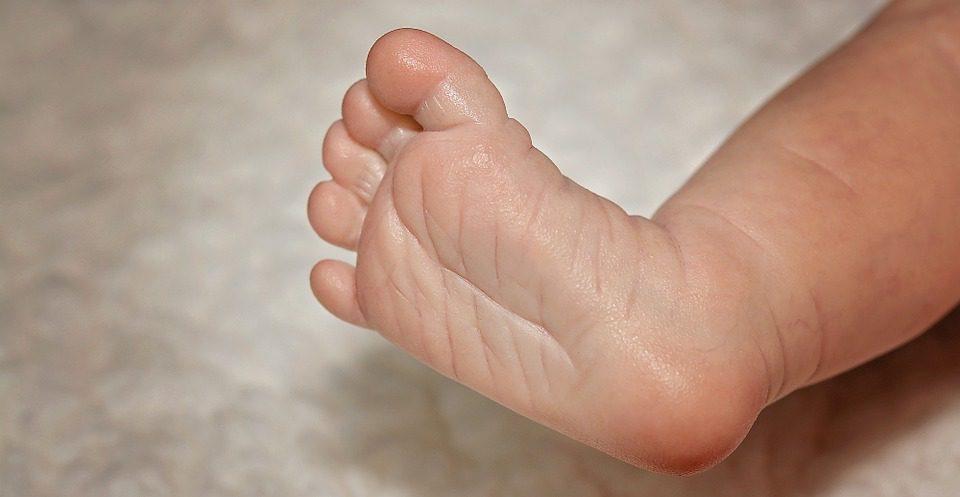 Hormigas ‘devoraban’ a bebé; su madre la abandonó en el monte
