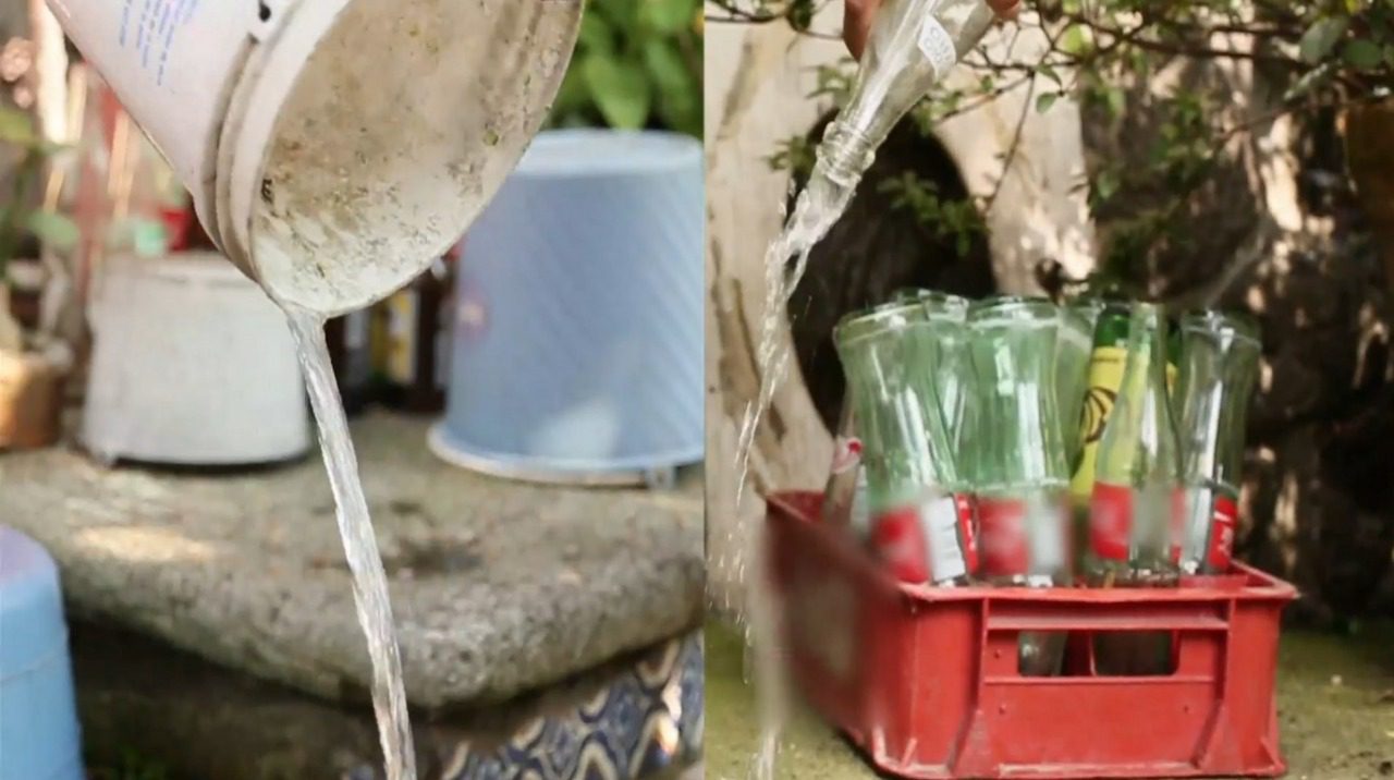 Ya es tiempo de prevenir el dengue, chikungunya y zika
