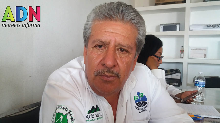 Se busca construir una rampa de desaceleración en la carretera federal México-Cuautla
