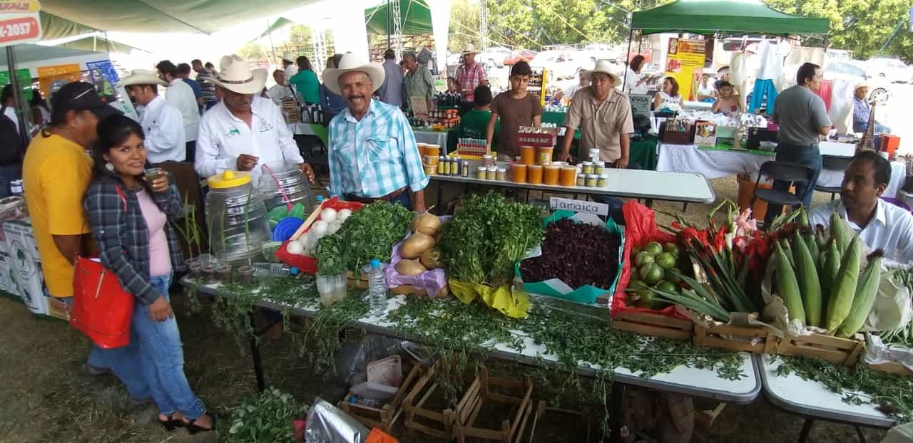 Inauguran en Ayala la Expo Agropecuaria 2019