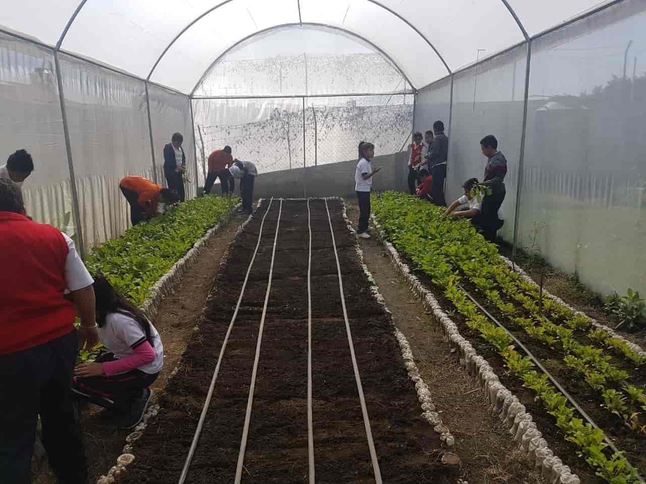 Alumnos crean huertos en escuelas de Morelos