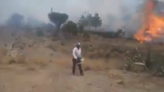 Hombre le prende fuego a árboles, alegando que son de su propiedad (Video)