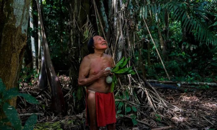 Invaden comunidad índigena del Amazonía para robarles oro