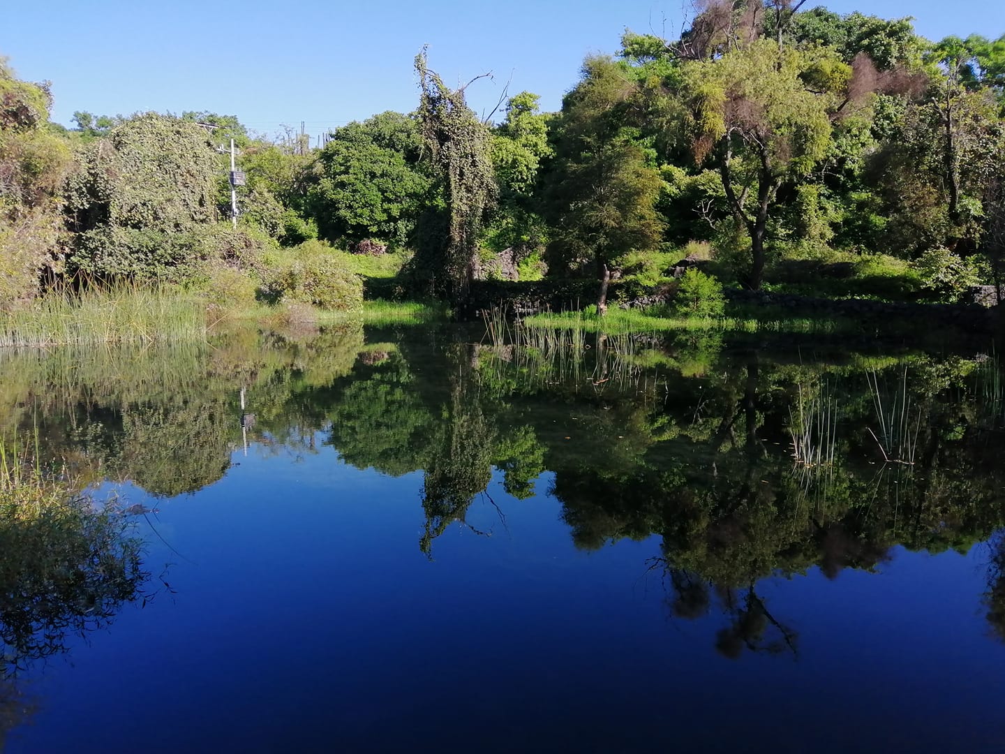 invitan a Curso de Verano en la Reserva Ecológica El Texcal