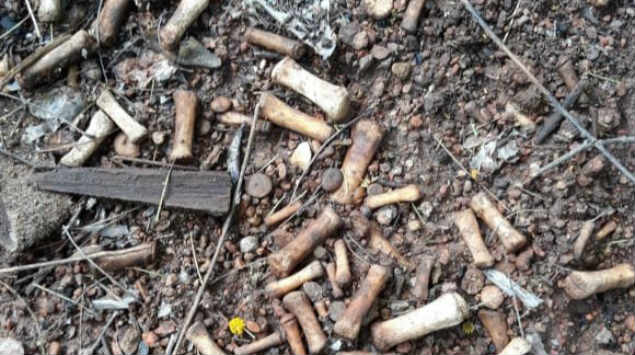Hallan 2 mil fragmentos de huesos de manos