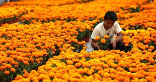 Hoy inicia el Otoño y próximamente el cambio de horario