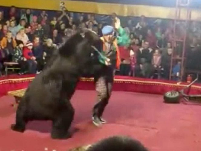 Oso ataca a su entrenador en pleno show (VIDEO)