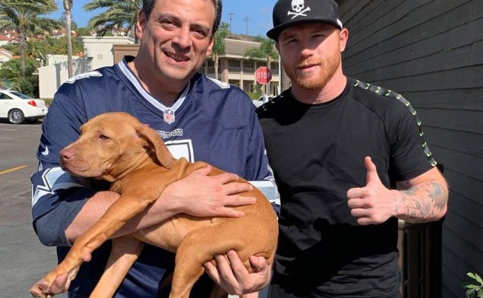 Regalan al ‘Canelo’ Álvarez una perrita de 3 millones de pesos