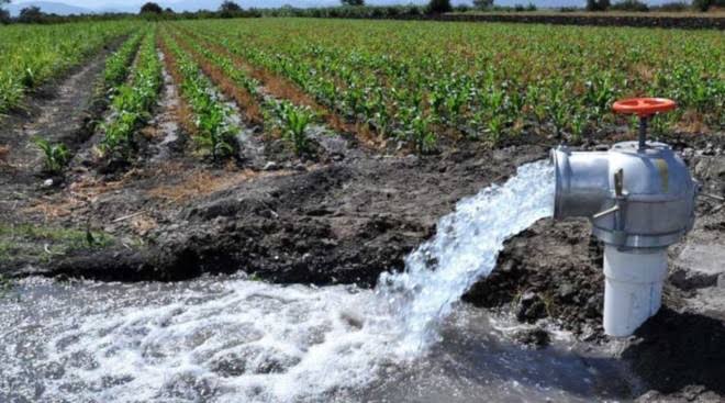 Diputados avalan ley que obliga a los campesinos a pagar el uso del agua