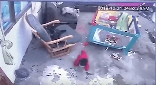 [VIDEO] Gatita SALVA a bebé de caer de las escaleras
