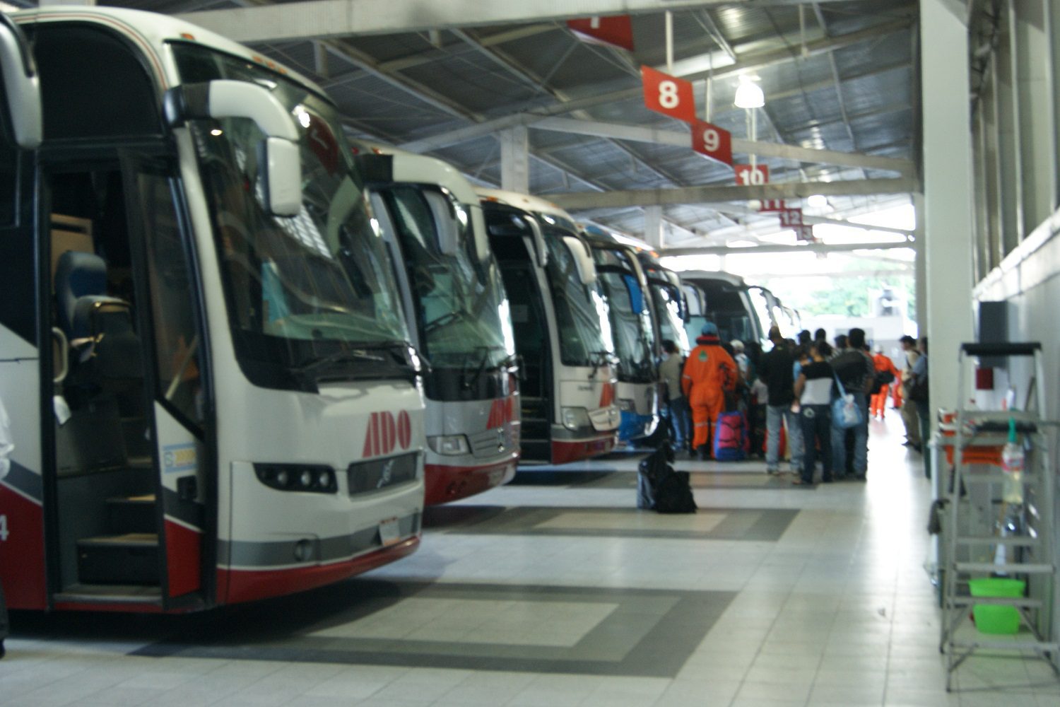 Descuentos en autobuses a maestros y estudiantes son OBLIGATORIOS en vacaciones