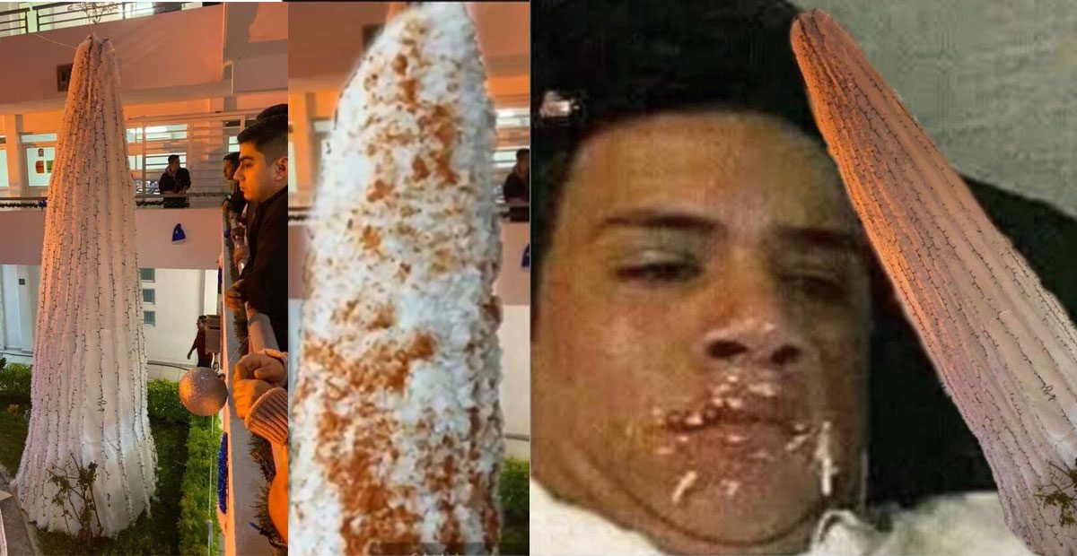 Universidad suspende a alumnos por hacer MEMES de su árbol navideño