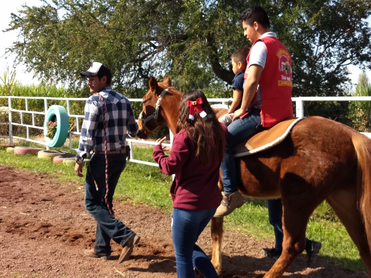 Realizan muestra de equinoterapia en Cuautla