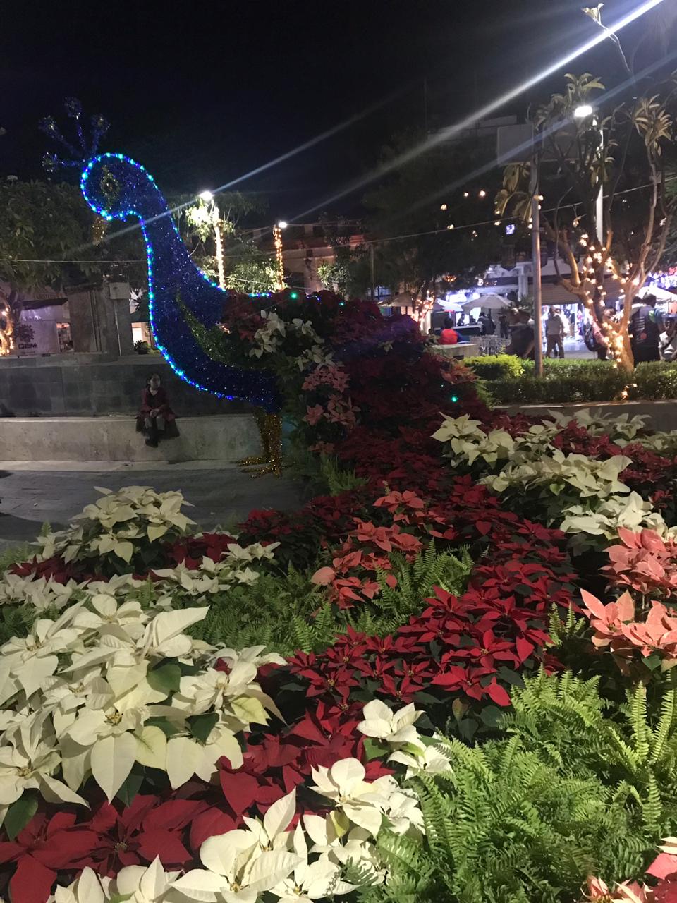 Inauguran EXPO NOCHEBUENA en Cuautla