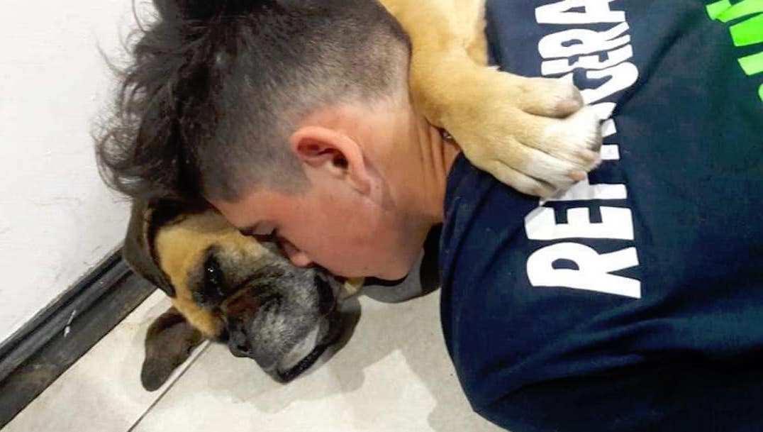 Perrita muere de paro cardiaco causado por fuegos artificiales