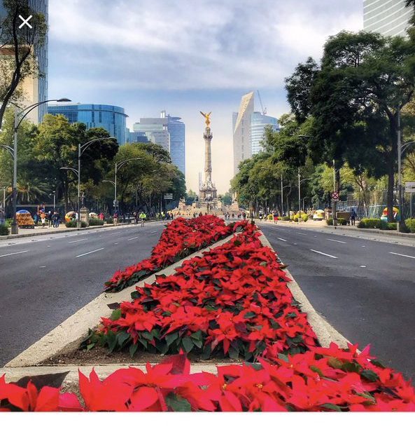 El 22 de diciembre inicia el INVIERNO y es el día más corto del año
