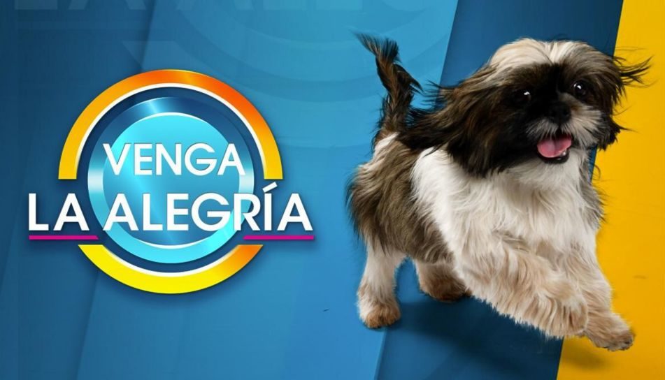 Nuevo perrito de Venga la Alegría cobrará igual que conductores