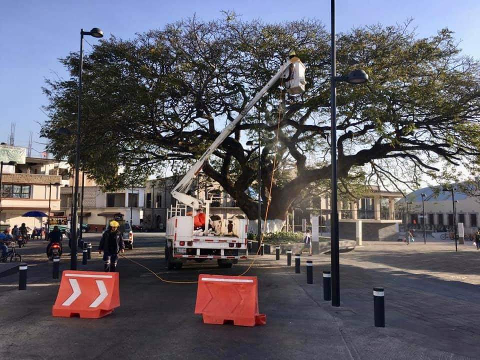 Dan mantenimiento a ‘La Parota’ del Centro de Ayala