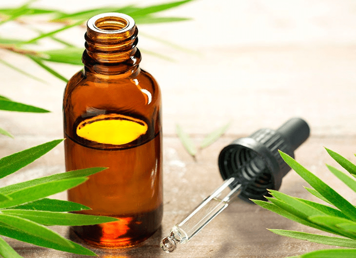 Fácil y rápido, aquí 4 desinfectantes naturales que puedes hacer en casa