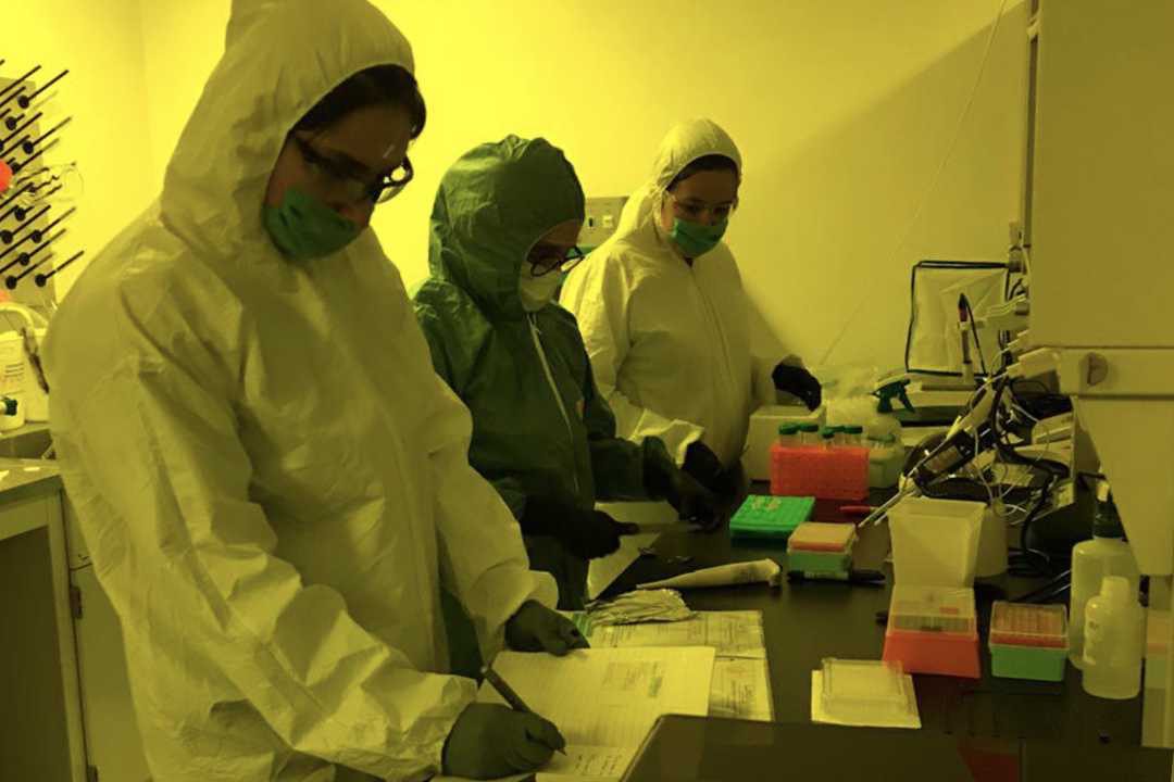 Científicos de la UNAM desarrollan un BIOSENSOR para la detección rápida del COVID-19