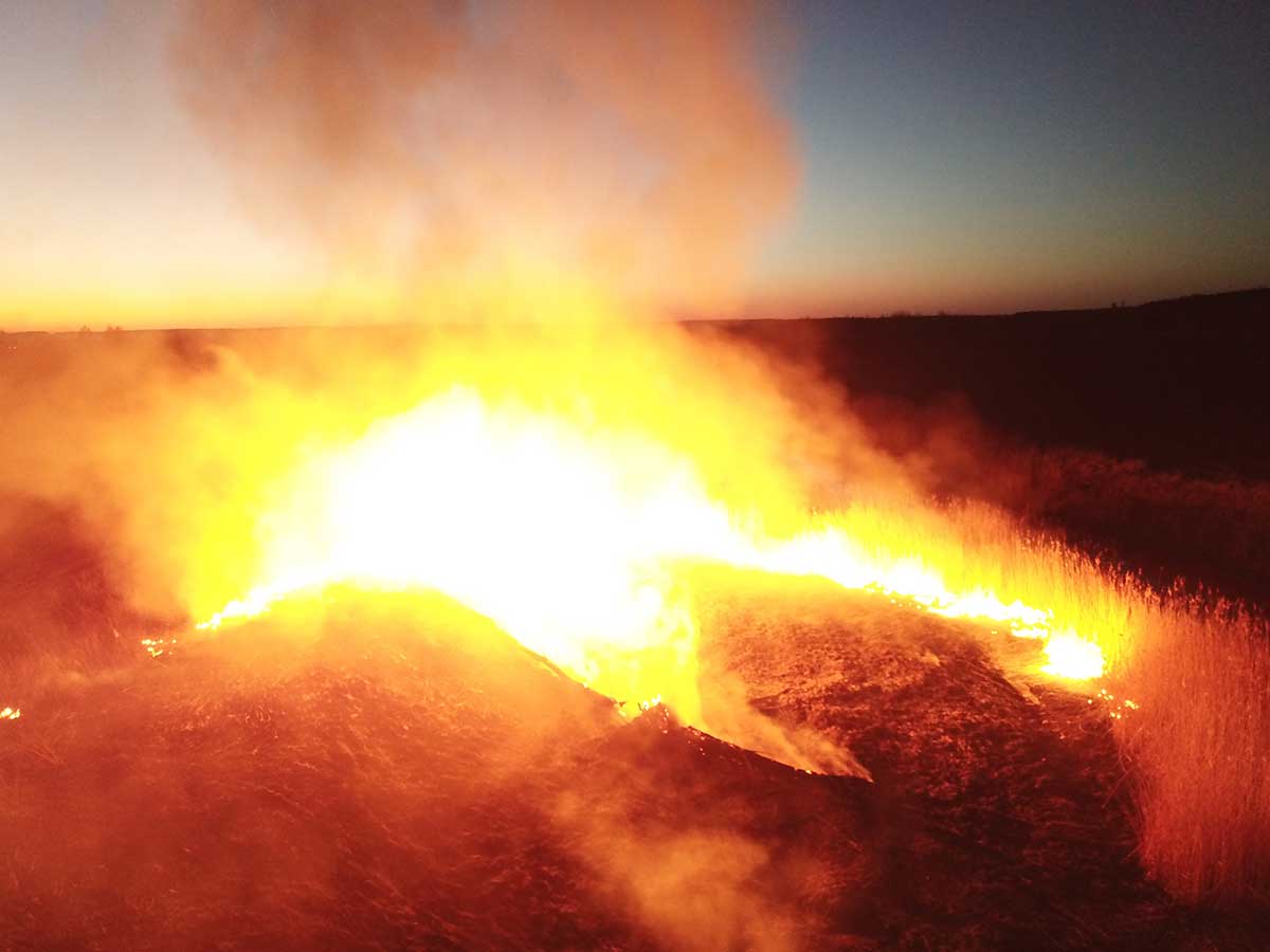 Incendios aumentan la radiación en Chernobyl