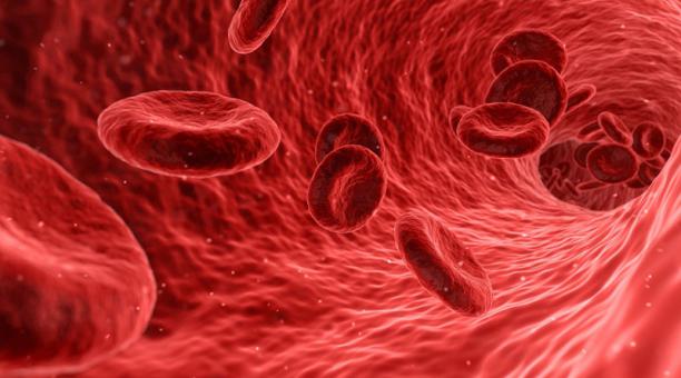 Preocupa a médicos la formación de coágulos de sangre a paciente con COVID-19