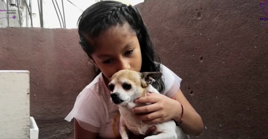 Piden NO ABANDONAR mascotas, veterinarios siguen dando servicio en la contingencia
