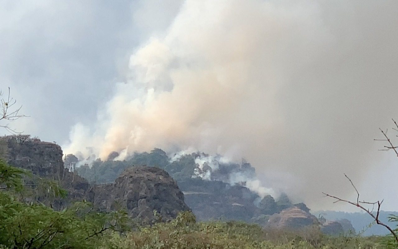 Evacuan a 15 familias por incendio en cerro de Tepoztlán