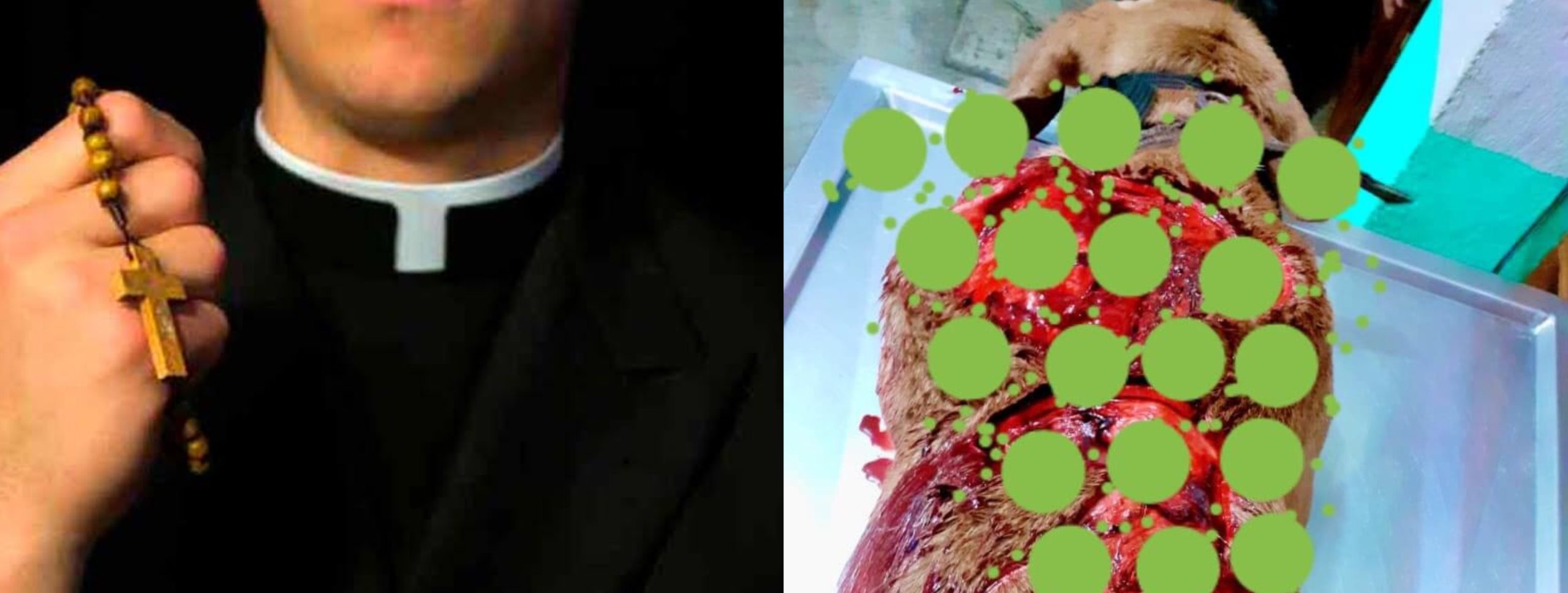 Sacerdote mata a ‘MACHETAZOS’ a un perro en SLP