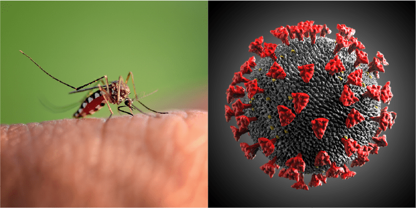 Niña de 7 años se contagió de COVID-19 y dengue