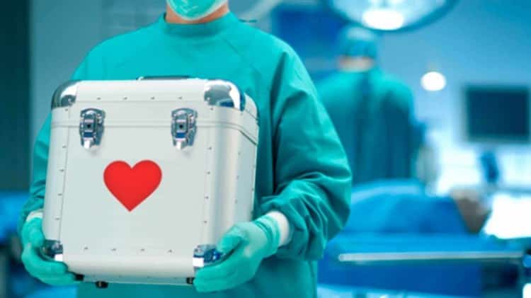 ¿Cómo puedo ser donador de órganos? una persona puede salvar a 120 personas