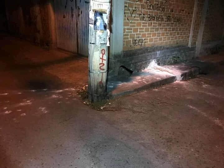 [IMÁGENES] Cubren con cal a perro que aun estaba vivo