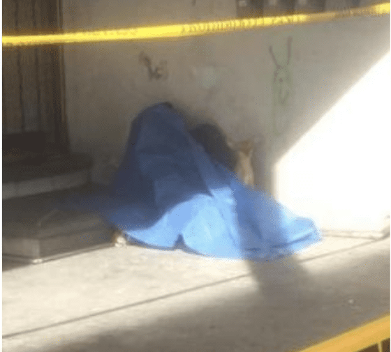 Se suicida en la vía pública y su perrito no se separó de él