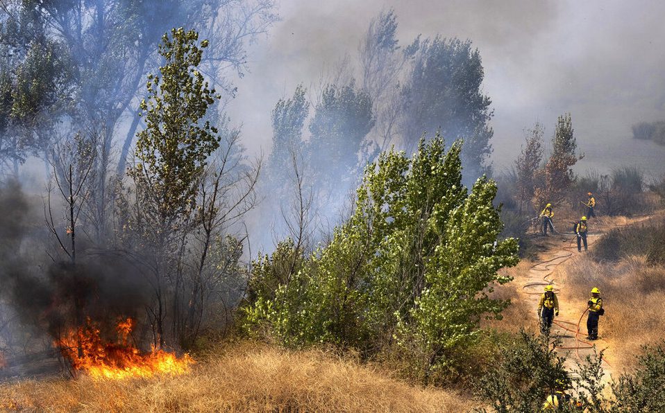 Pareja provoca incendio al revelar el sexo de sus bebé