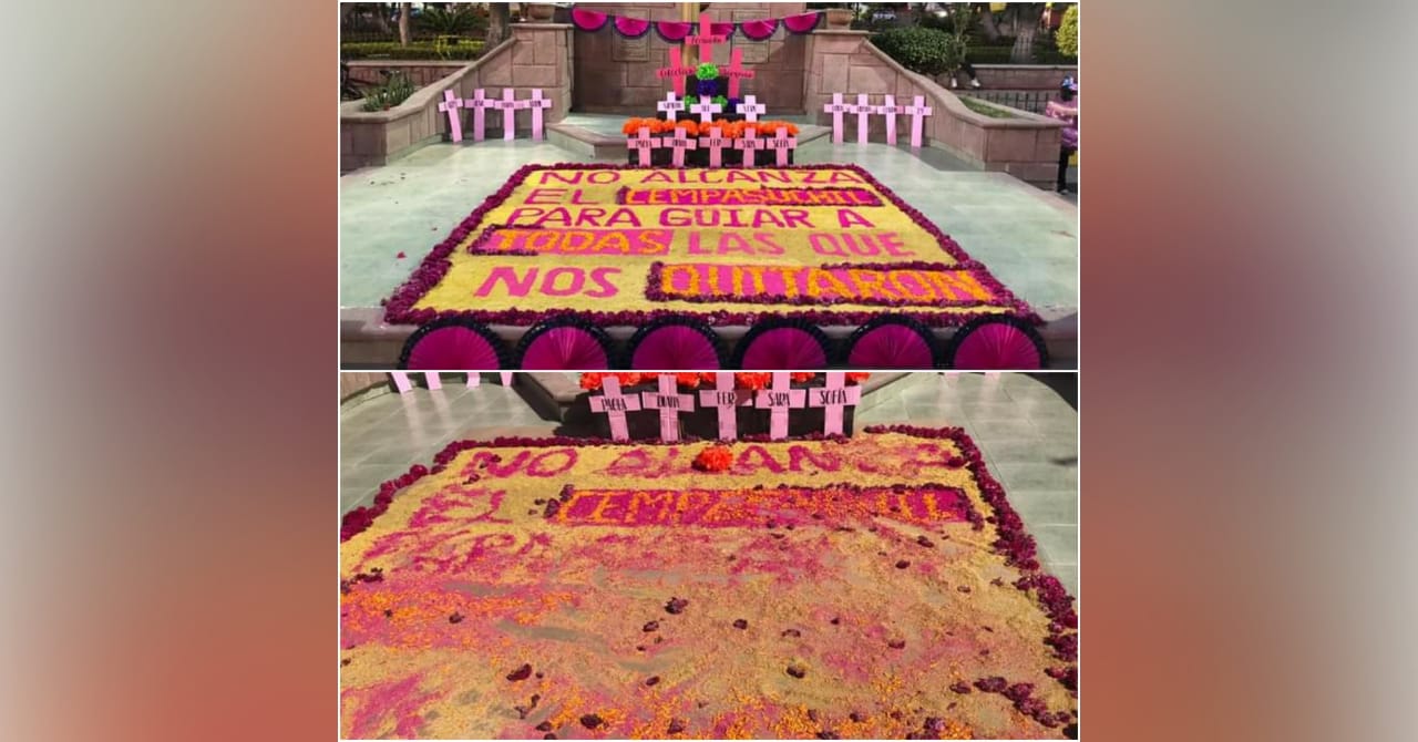 VIDEO: Perritos destruyen ofrenda feminista en Zumpango