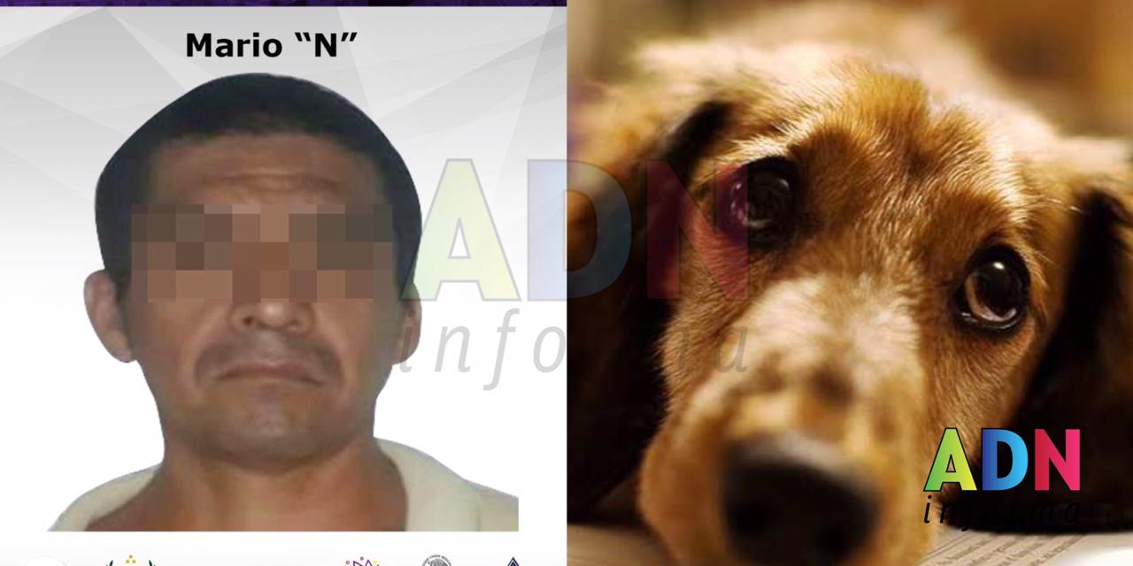 Condenan a hombre que mató a perro en Morelos