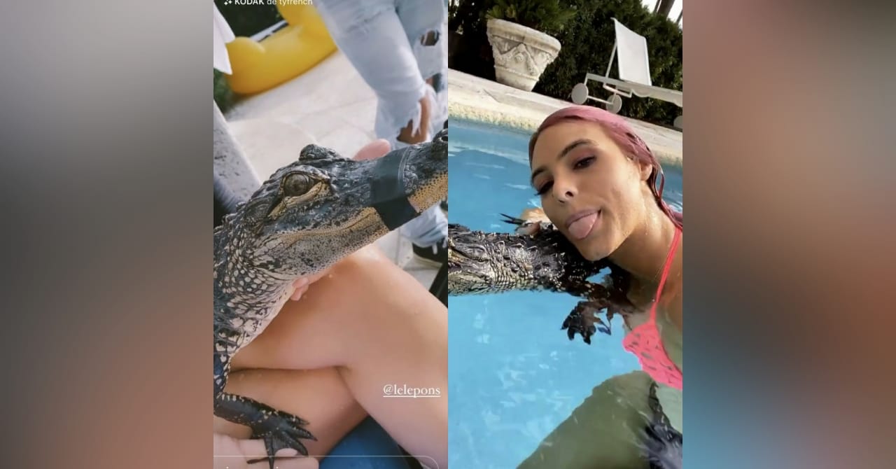 Lele Pons es duramente criticada por posar junto a un cocodrilo con cinta en su hocico