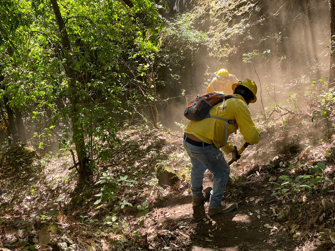 Registran 5 incendios en los primeros días de enero en Tepoztlán