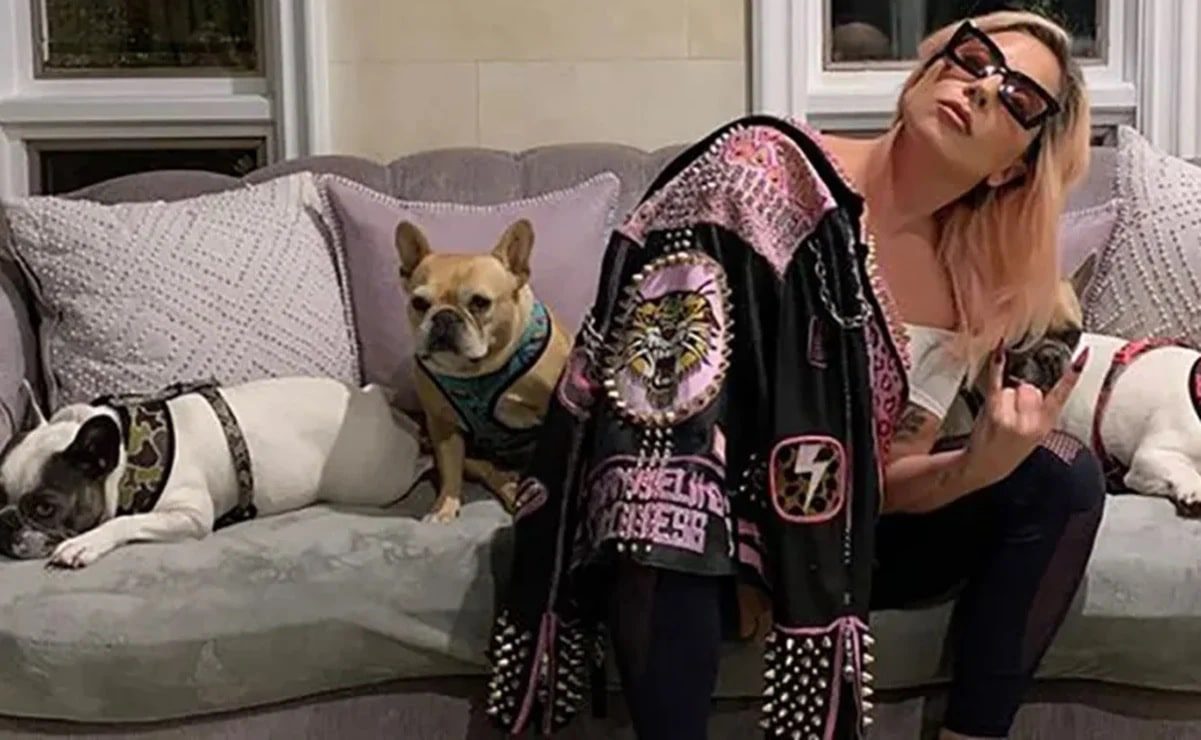Lady Gaga está ofreciendo medio millón de dólares a quien encuentre a sus perros