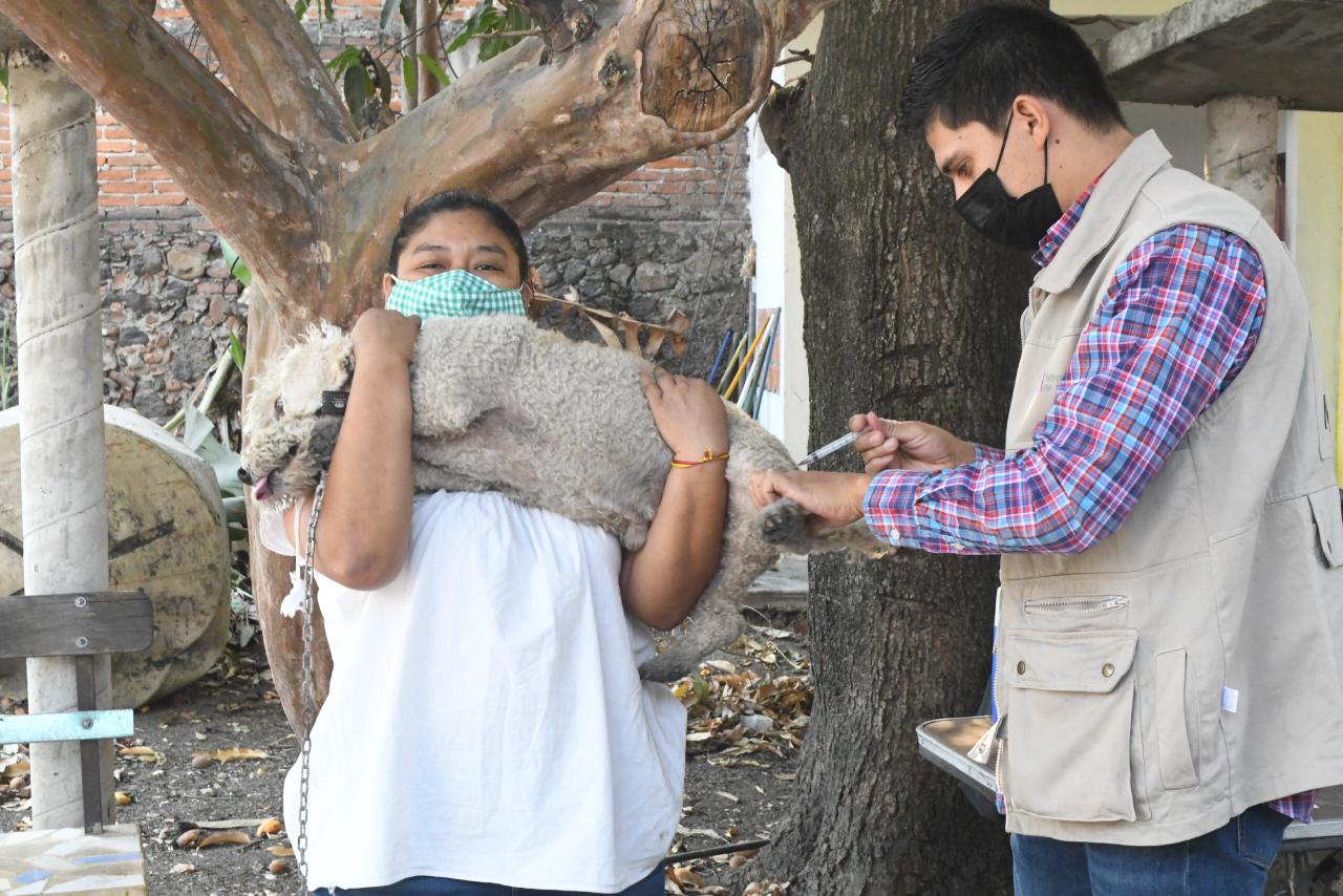 Concluyó con ÉXITO la Tercera Feria de Salud Animal, Canina y Felina 2021 en Cuautla