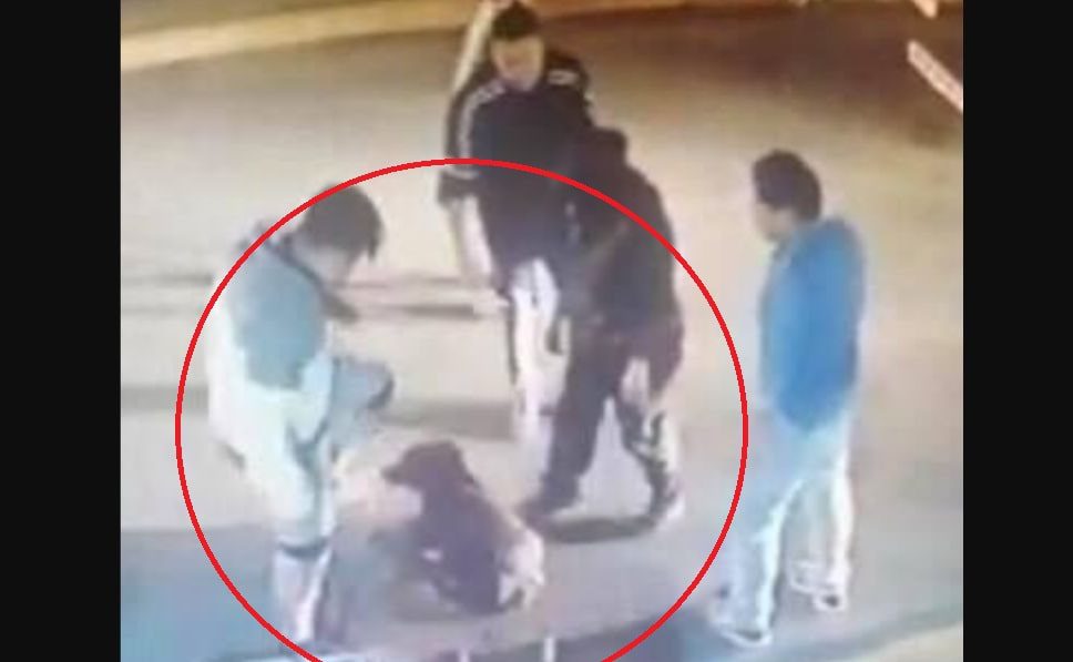 Padre e hijo apuñalan 18 veces a perrito en el Estado de México